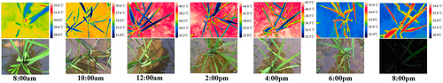 Details are in the caption following the image Details are in the caption following the image