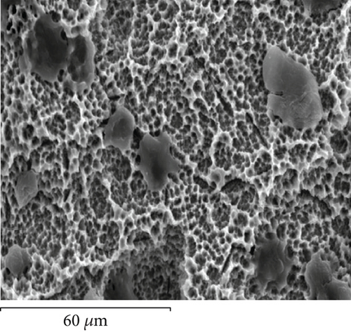 Details are in the caption following the image