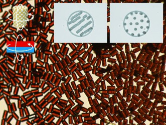 Fabrication and Assembly of Magneto-Responsive, Anisotropic, and Hybrid Microparticles of Variable Size and Shape
