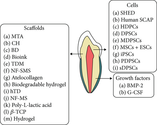 Details are in the caption following the image Details are in the caption following the image