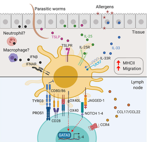 Details are in the caption following the image Details are in the caption following the image