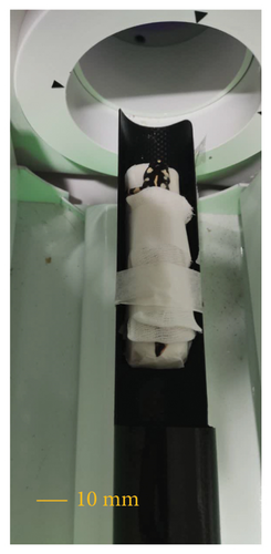 Details are in the caption following the image Details are in the caption following the image
