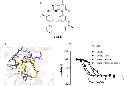 YL143, a novel mutant selective irreversible EGFR inhibitor, overcomes EGFRL858R, T790M-mutant resistance in vitro and in vivo