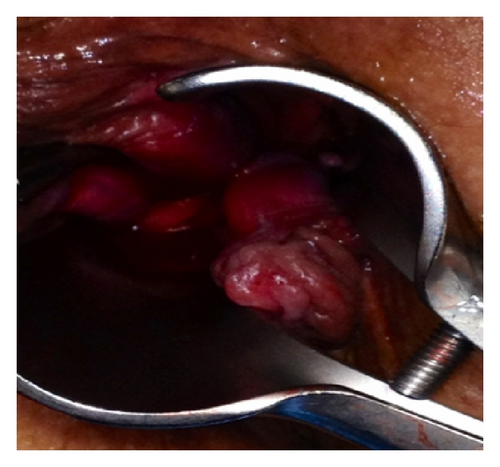 Details are in the caption following the image Details are in the caption following the image