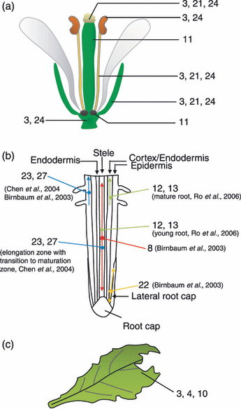 Details are in the caption following the image Details are in the caption following the image