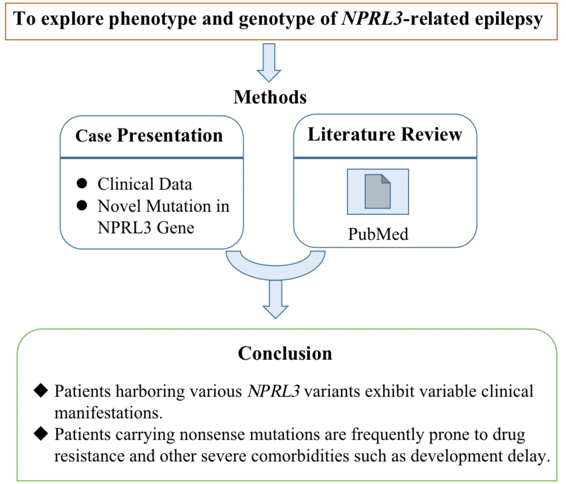 Phenotypic and genotypic characterization of NPRL3-related epilepsy: Two case reports and literature review