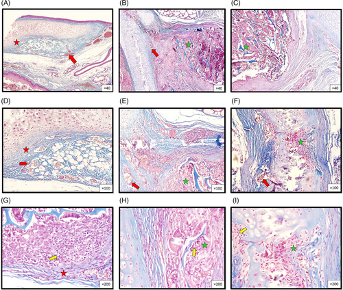 Details are in the caption following the image Details are in the caption following the image