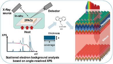 Tuning Self-Assembly of Hole-Selective Monolayers for Reproducible Perovskite/Silicon Tandem Solar Cells