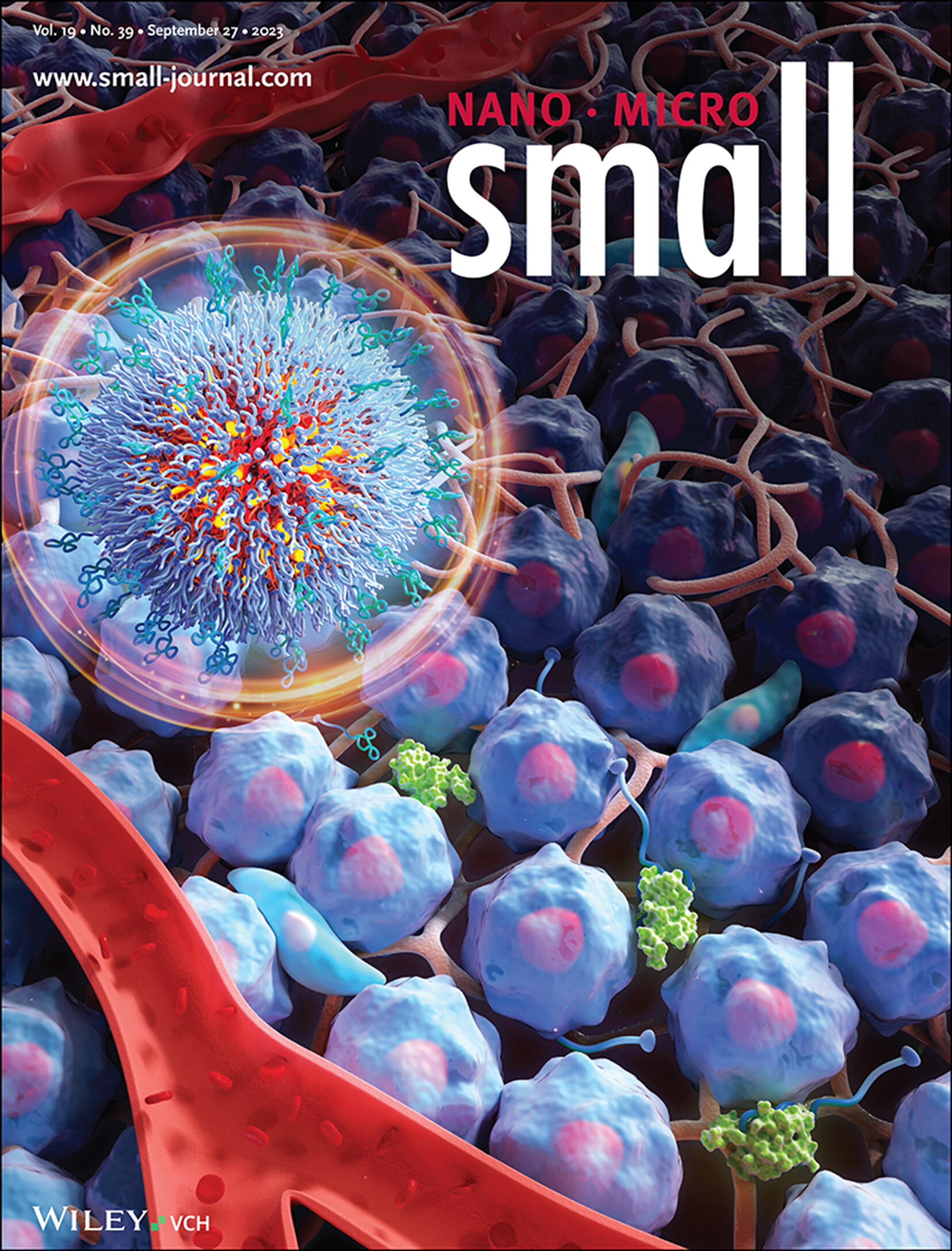 Bio-Responsive Macromolecular Drug and Small-Molecular Drug Conjugates: Nanoparticulate Prodrugs for Tumor Microenvironment Heterogeneity Management and Therapeutic Response Enhancement (Small 39/2023) Volume 19 Issue 39, 2023