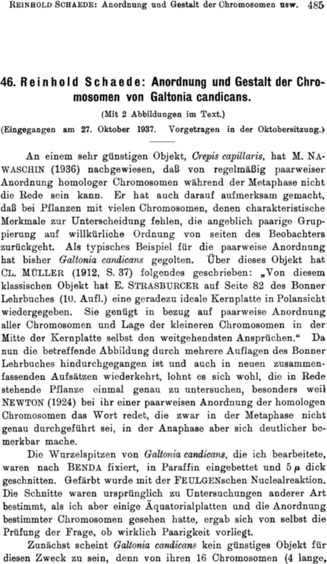 First page image