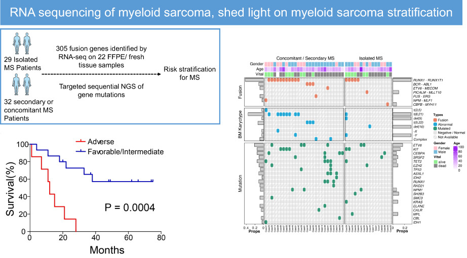 RNA sequencing of myeloid sarcoma, shed light on myeloid sarcoma stratification