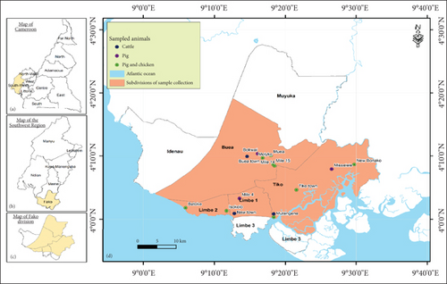 Details are in the caption following the image Details are in the caption following the image