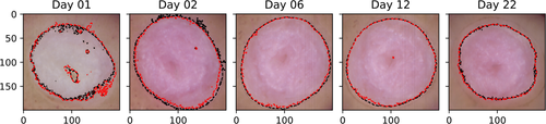 Details are in the caption following the image Details are in the caption following the image