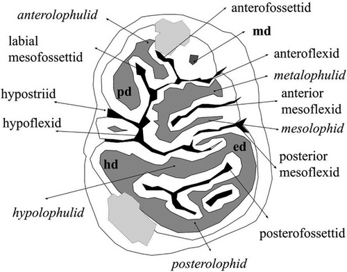 Details are in the caption following the image