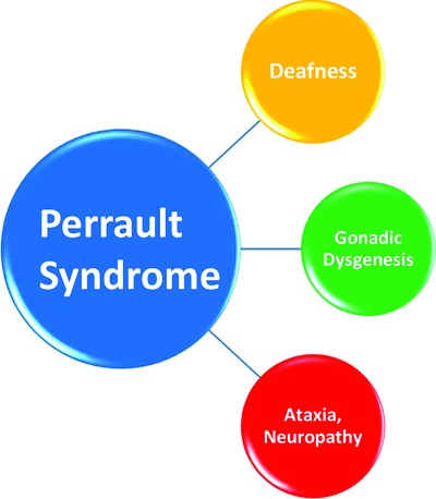 An Application of NGS for Molecular Investigations in Perrault Syndrome: Study of 14 Families and Review of the Literature