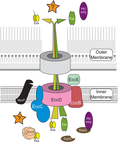 Details are in the caption following the image Details are in the caption following the image