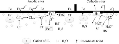 Inhibiting Effect of Ionic Liquids on the Corrosion of Mild Steel in H2S and HCl Solution