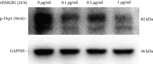 Details are in the caption following the image