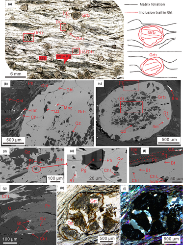 Details are in the caption following the image Details are in the caption following the image