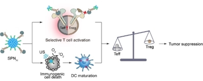 Sonodynamic Cytokine Nanocomplexes with Specific Stimulation towards Effector T Cell for Combination Cancer Immunotherapy