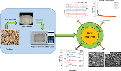Structural, Thermo-Functional, and Rheological Properties of Dielectric Modified Underutilized Jicama (Pachyrhizus, spp.) Starch