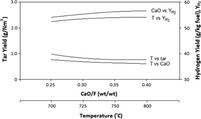 Hydrogen Production from Co-Gasification of Coal and Biomass in the Presence of CaO as a Sorbent