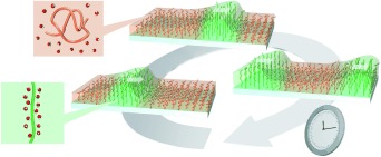 Self-Oscillating Polymer Brushes