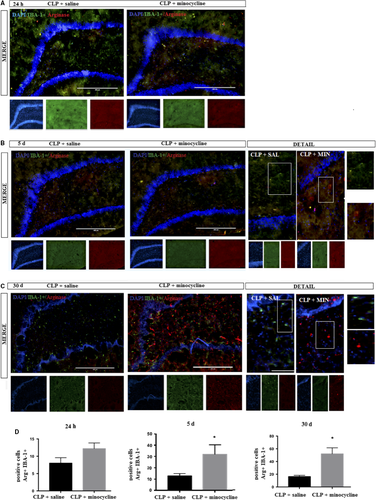 Details are in the caption following the image Details are in the caption following the image