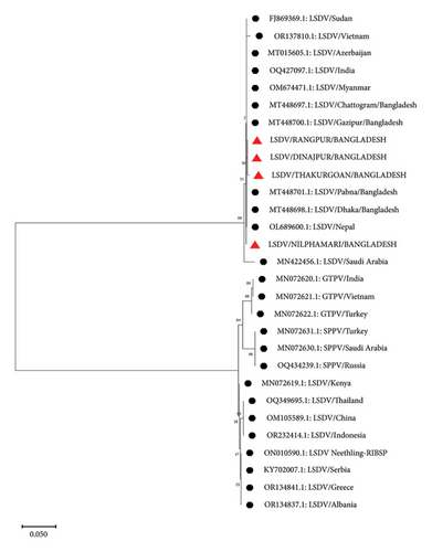 Details are in the caption following the image Details are in the caption following the image