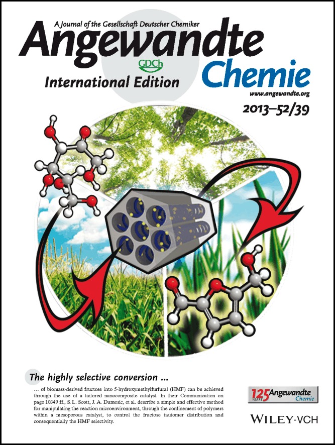 Inside Cover: A Tailored Microenvironment for Catalytic Biomass Conversion in Inorganic–Organic Nanoreactors (Angew. Chem. Int. Ed. 39/2013)