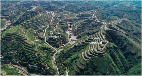 Details are in the caption following the image Details are in the caption following the image