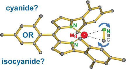 Magnesium Cyanide or Isocyanide?