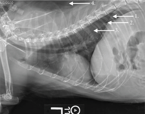 Details are in the caption following the image Details are in the caption following the image
