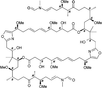 The Absolute Configuration of Rhizopodin and Its Inhibition of Actin Polymerization by Dimerization
