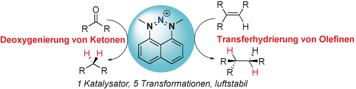Nitrenium Salts in Lewis Acid Catalysis