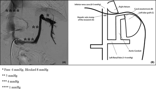 Details are in the caption following the image