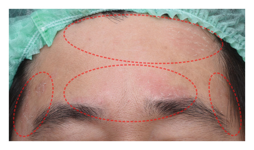 Details are in the caption following the image Details are in the caption following the image