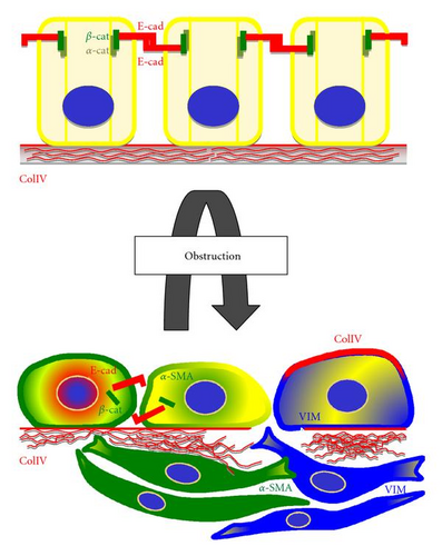 Details are in the caption following the image