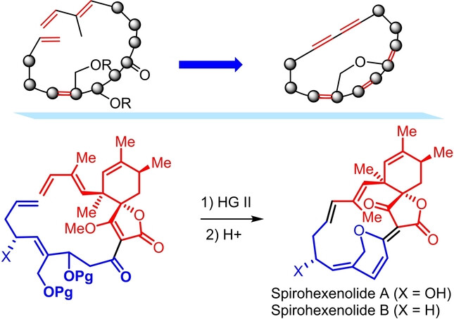 Bent π-Conjugation within a Macrocycle: Asymmetric Total Syntheses of Spirohexenolides A and B