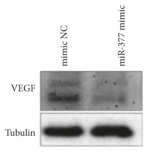 Details are in the caption following the image