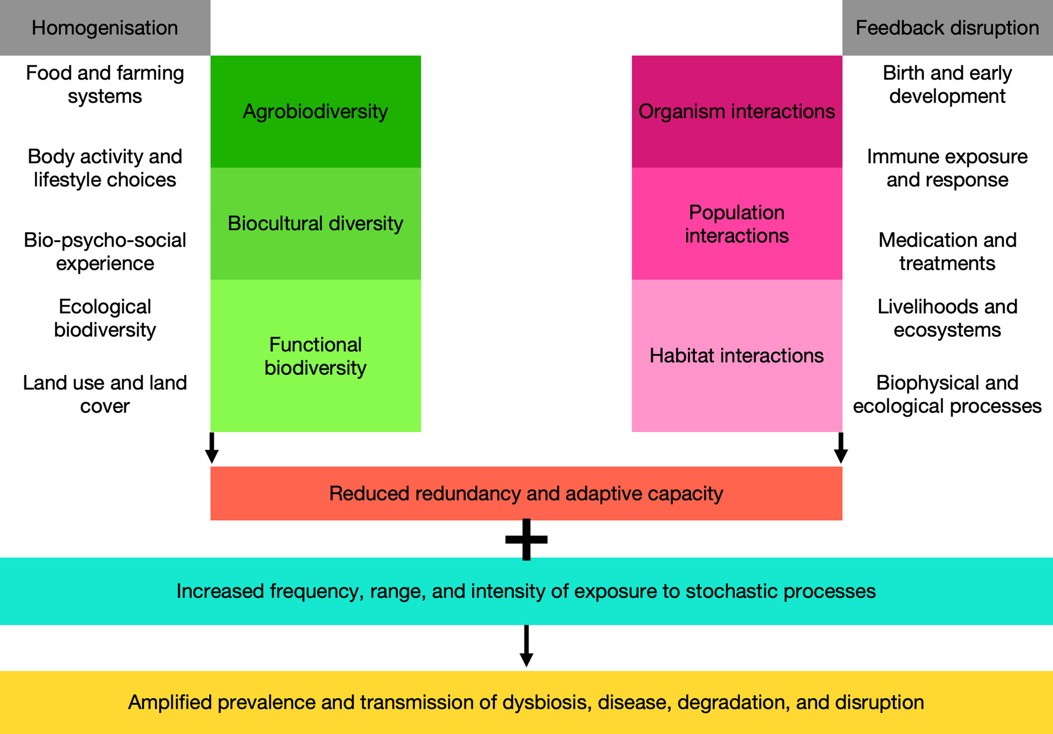 Microbiomes as Modulators of Human and Planetary Health: A Relational and Cross-Scale Perspective