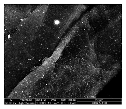 Details are in the caption following the image