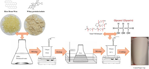 Optimization of biodegradable paper cup packaging coated with whey protein isolate and rice bran wax as potential popcorn package