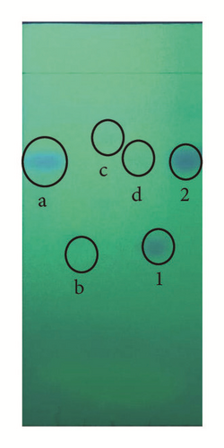 Details are in the caption following the image