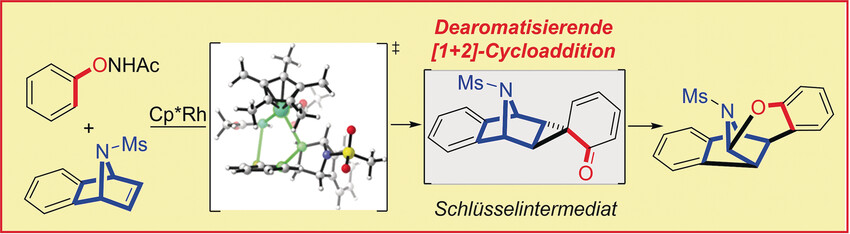 Beispielloses dearomatisiertes Spirocyclopropan in einer sequenziellen Rhodium(III)-katalysierten C-H-Aktivierung und Umlagerungsreaktion