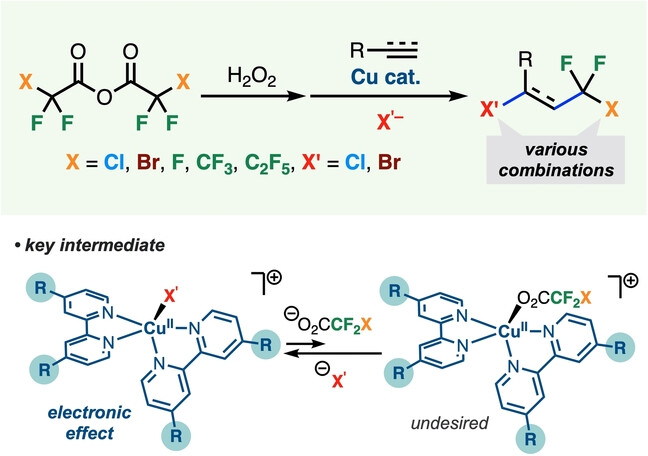 Ligand-Controlled Copper-Catalyzed Halo-Halodifluoromethylation of Alkenes and Alkynes Using Fluorinated Carboxylic Anhydrides