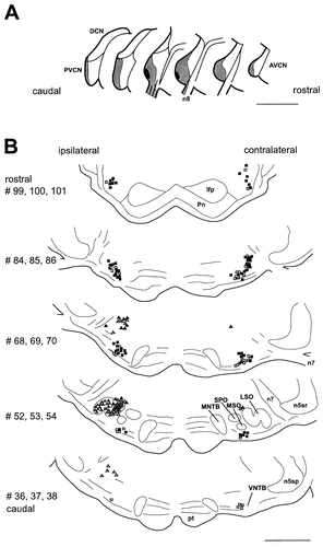Details are in the caption following the image