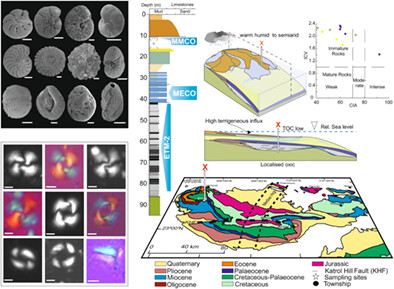 Multiproxy analysis constraining climatic control over the Cenozoic depositional history of Kachchh, Western India