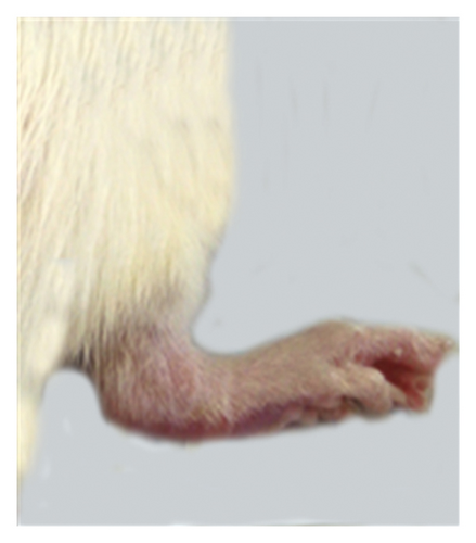 Details are in the caption following the image