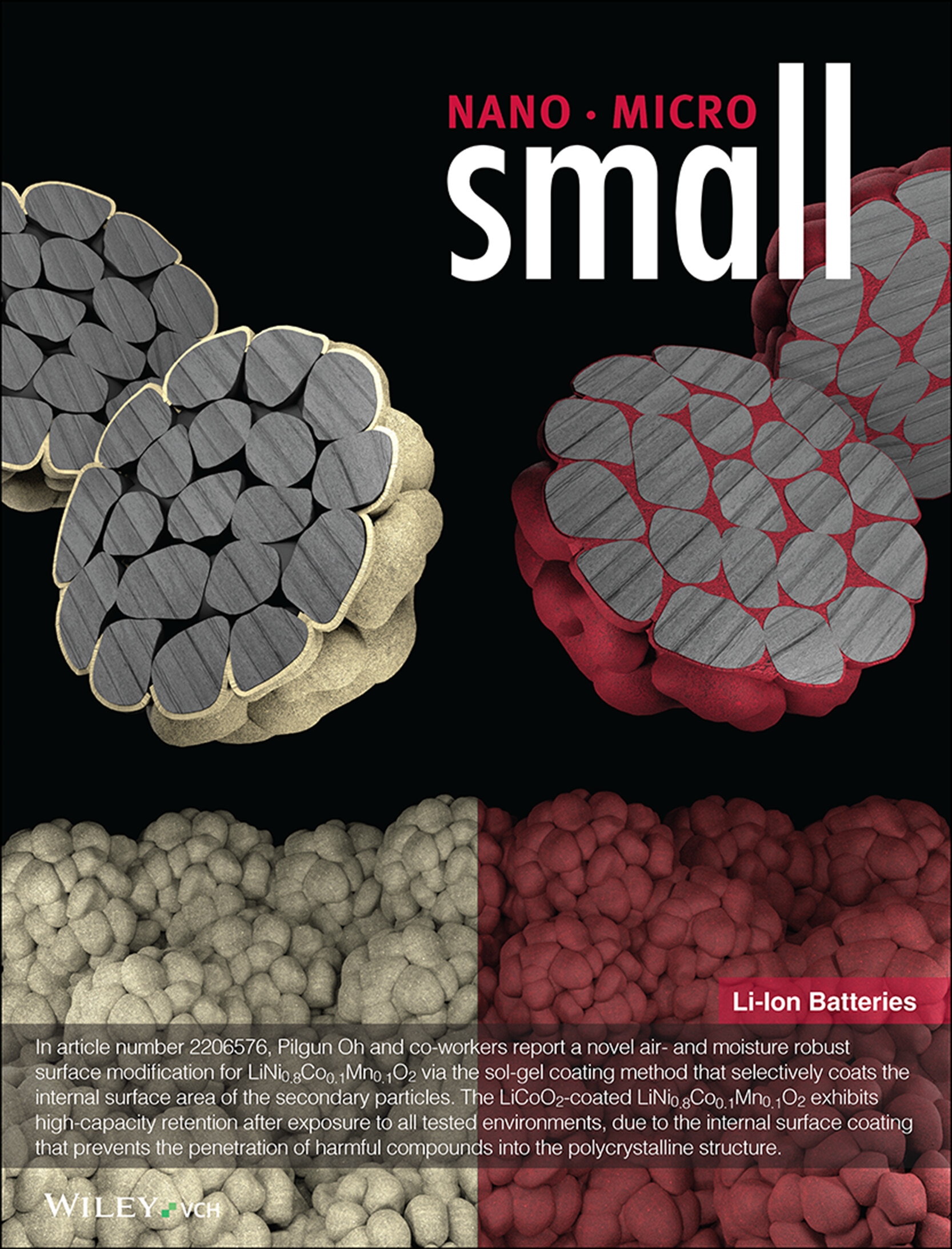 Air- and Moisture Robust Surface Modification for Ni-Rich Layered Cathode Materials for Li-Ion Batteries (Small 25/2023) Volume 19 Issue 25, 2023